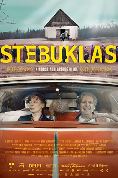 Stebuklas (2017) afişi Stebuklas (2017) afişi