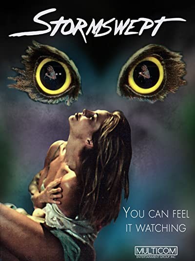 Stormswept (1995) afişi Stormswept (1995) afişi