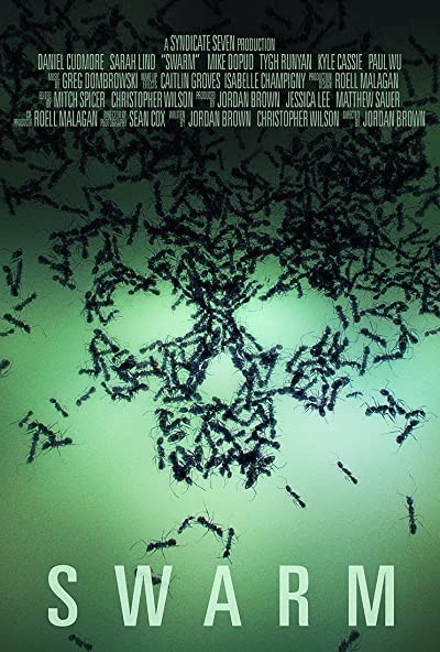 Swarm (2014) afişi Swarm (2014) afişi
