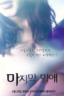 The Last Liaison (2011) afişi