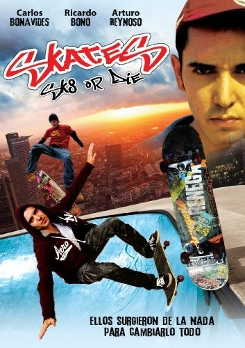 Tehlikeli Tesadüf (2008) afişi Tehlikeli Tesadüf (2008) afişi