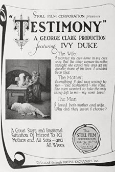 Testimony (1920) afişi