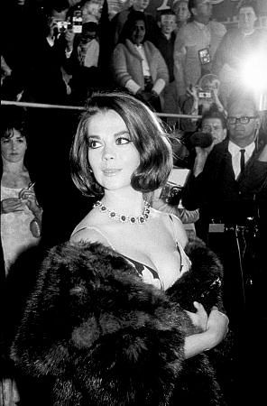 The 38th Annual Academy Awards (1966) afişi The 38th Annual Academy Awards (1966) afişi