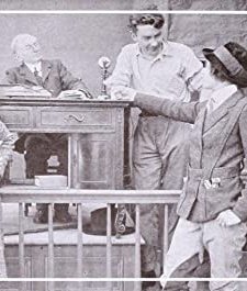 The Adventure At Briarcliff (1915) afişi