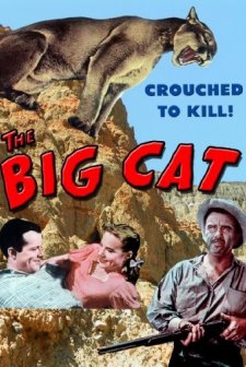 The Big Cat (1949) afişi