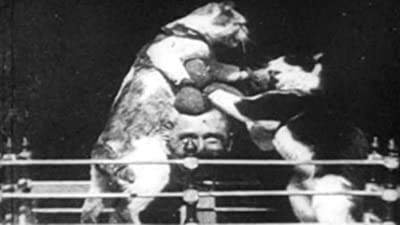 The Boxing Cats (prof. Welton's) (1894) afişi The Boxing Cats (prof. Welton's) (1894) afişi