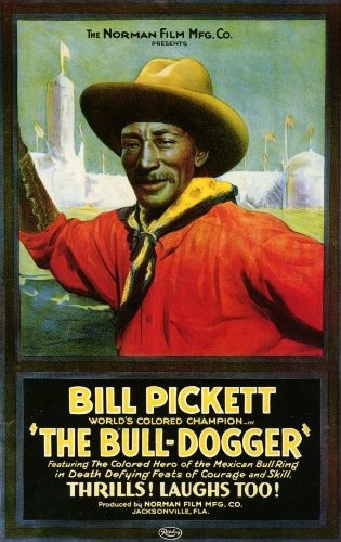 The Bull-dogger (1921) afişi The Bull-dogger (1921) afişi