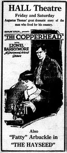 The Copperhead (1920) afişi The Copperhead (1920) afişi