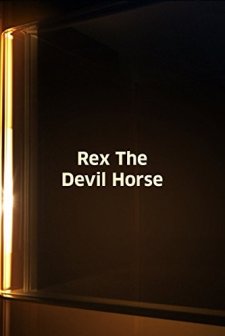 The Devil Horse (1926) afişi