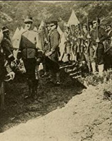 The Dishonored Medal (1914) afişi