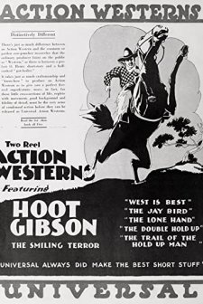 The Double Hold-up (1919) afişi