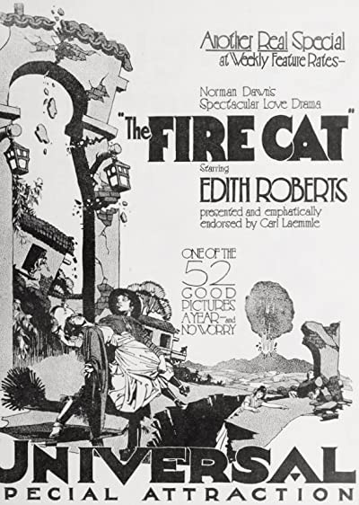 The Fire Cat (1921) afişi The Fire Cat (1921) afişi
