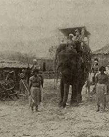 The Ghost Of The Jungle