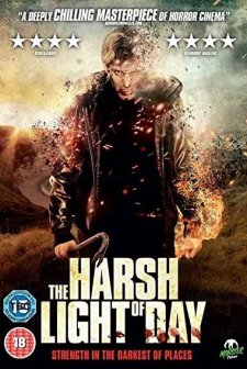 The Harsh Light of Day (2012) afişi