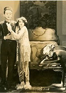 The Kangaroo Detective (1927) afişi