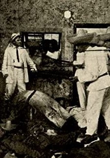 The Message Of The Palms (1913) afişi