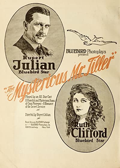 The Mysterious Mr. Tiller (1917) afişi The Mysterious Mr. Tiller (1917) afişi