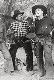 The Orphan (1920) afişi