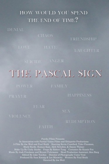 The Pascal Sign (2010) afişi The Pascal Sign (2010) afişi