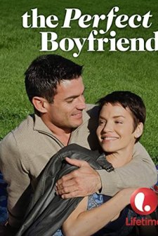 The Perfect Boyfriend (2013) afişi