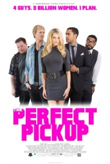 The Perfect Pickup (2016) afişi The Perfect Pickup (2016) afişi