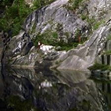 The Persian Love Cake (2009) afişi