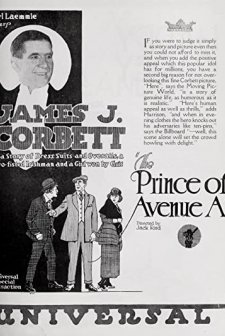 The Prince Of Avenue A (1920) afişi