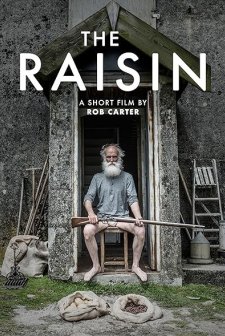 The Raisin (2017) afişi
