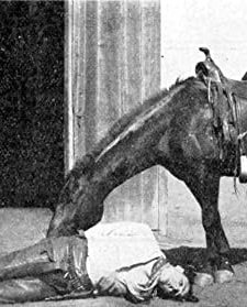 The Ranch Girl (1911) afişi