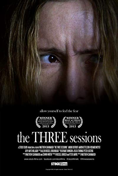 The Three Sessions (2013) afişi The Three Sessions (2013) afişi