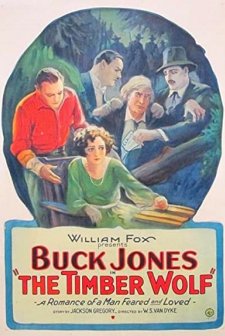 The Timber Wolf (1925) afişi