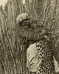 The Vengeance Of The Fakir (1912) afişi