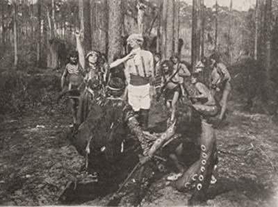 The Witch Of The Everglades (1911) afişi The Witch Of The Everglades (1911) afişi
