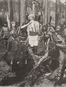 The Witch Of The Everglades (1911) afişi