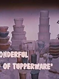 The Wonderful World Of Tupperware (1965) afişi