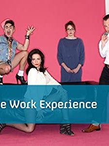 The Work Experience