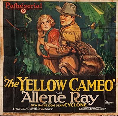The Yellow Cameo (1928) afişi The Yellow Cameo (1928) afişi