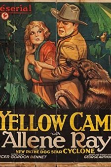 The Yellow Cameo (1928) afişi