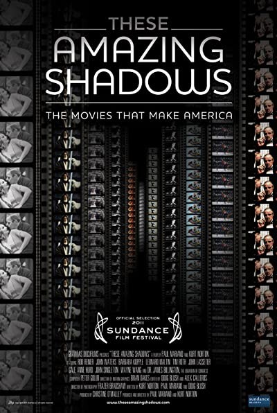 These Amazing Shadows (2011) afişi These Amazing Shadows (2011) afişi