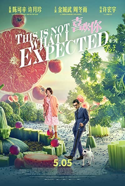 This Is Not What I Expected (2017) afişi This Is Not What I Expected (2017) afişi