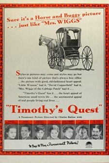 Timothy's Quest (1936) afişi