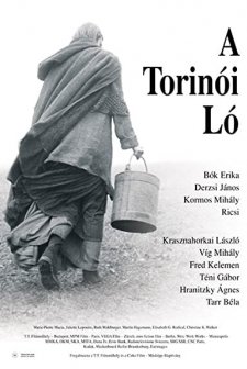 Torino Atı (2011) afişi