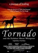 Tornado ve Atlara Fısıldayan Adam afişi Tornado ve Atlara Fısıldayan Adam afişi