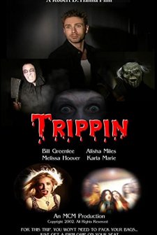 Trippin' (2003) afişi