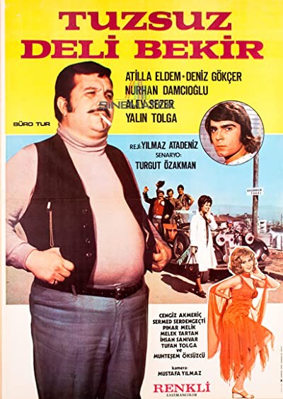 Tuzsuz Deli Bekir (1972) afişi Tuzsuz Deli Bekir (1972) afişi