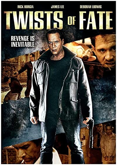 Twists of Fate (2009) afişi Twists of Fate (2009) afişi
