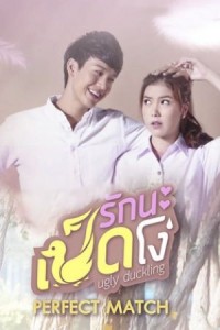 Ugly Duckling Series