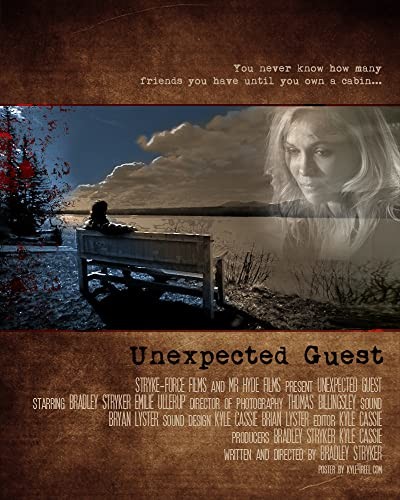 Unexpected Guest (2012) afişi Unexpected Guest (2012) afişi