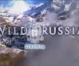 Vahşi Rusya: Sibirya afişi Vahşi Rusya: Sibirya afişi