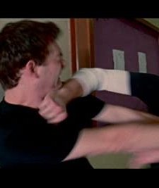 Vanguard (2010) afişi